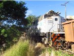 VLI 8382